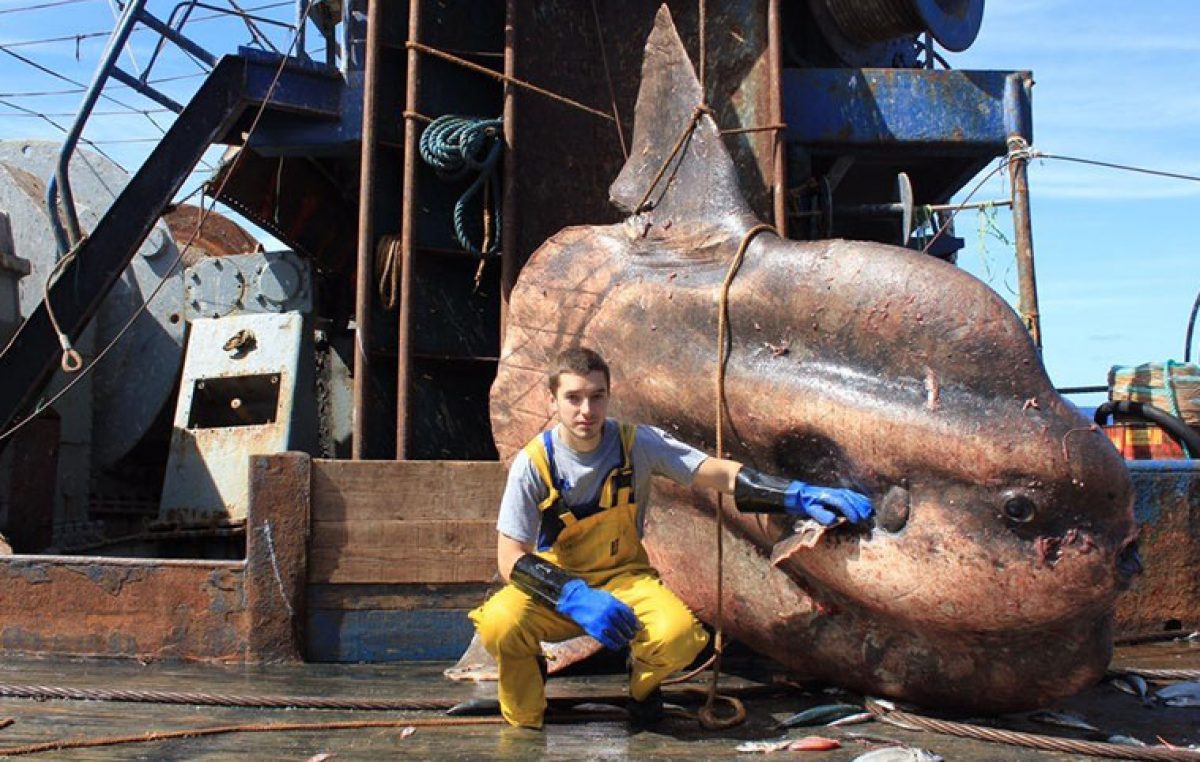 Oι φωτογραφίες του Ρώσου ψαρά έρχονται απευθείας από την κόλαση