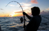 “Τίτλοι τέλους” για τις άδειες ερασιτεχνικής αλιείας